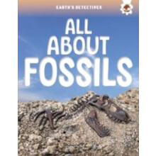 Earths Detectives All About Fossils by Rebecca Storm Paperback Book