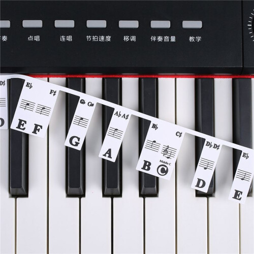 61 Key Removable Piano Keyboard Stickers Stave Notation Note Strip Stickers for Beginners Students 2