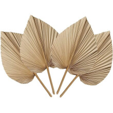 4 Pieces Natural Dried Leaves are Perfect for Leaf Decor, Boho Decor, Home Decor, Wedding