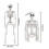 2 PeçAs de Esqueleto de DecoraçãO de Halloween, Esqueleto Suspenso de Corpo Inteiro de 16 Polegadas para DecoraçãO Interna e Externa 7
