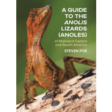 A Guide to the Anolis Lizards Anoles of Mainland Central and South Ame