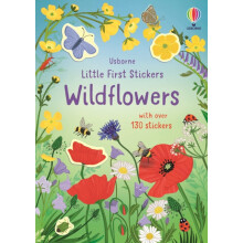 Little First Stickers Wildflowers by Caroline Young Paperback Book