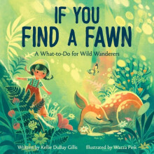 If You Find a Fawn by Kellie DuBay Gillis Hardcover Book