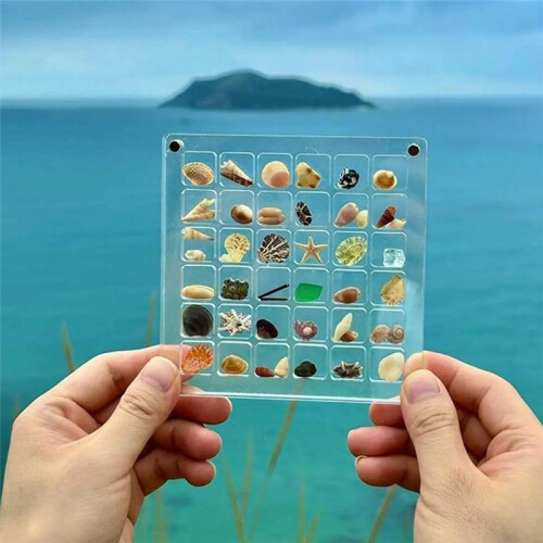 Acrylic Magnetic Seashell Display Box,Diamond Gemstone Beads Storage Display Organizer Box Grid Clear Acrylic Seashell,F 2