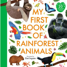 My First Book of Rainforest Animals by Zoe Ingram Hardcover Book