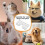10Pcs/Lot Replaceable Ceramic 18 Teeth Pet Ceramic Clipper Cutting Blade for  A5 Series 7
