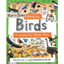 How To Draw Amazing Birds Paperback Book