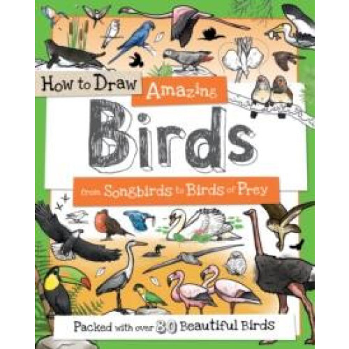 How To Draw Amazing Birds Paperback Book