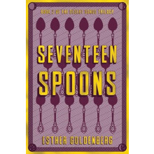 Seventeen Spoons by Esther Esther Goldenberg Goldenberg Paperback Book