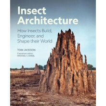 Insect Architecture by Tom Jackson Hardcover Book