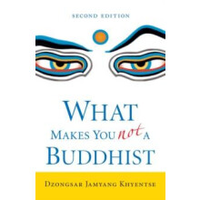 What Makes You Not a Buddhist by Dzongsar Jamyang Khyentse Paperback B