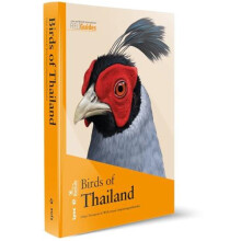 Birds of Thailand by Wichyanan Limparungpattanakij Paperback Book