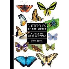 Butterflies of the World by Shinichi Nakahara Hardcover Book