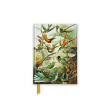 Ernst Haeckel Hummingbirds Foiled Pocket Journal Other Book
