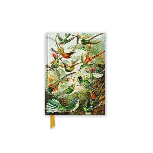 Ernst Haeckel Hummingbirds Foiled Pocket Journal Other Book