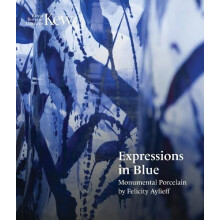 Expressions in Blue by Felicity Aylieff Paperback Book