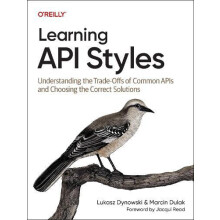 Learning API Styles by Marcin Dulak Paperback Book