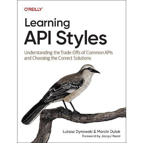 Learning API Styles by Marcin Dulak Paperback Book