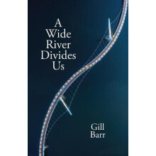 A Wide River Divides Us by Gill Barr Paperback Book