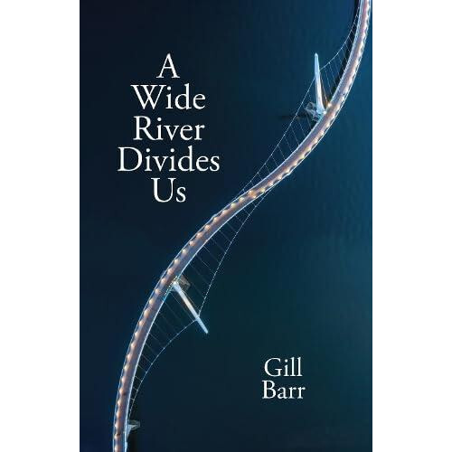 A Wide River Divides Us by Gill Barr Paperback Book