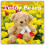 Teddy Bears 2026 Square Wall Calendar by Red Robin Paperback Book 1