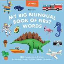 My Big Bilingual Book of First Words by Mike Alfaro Other Book