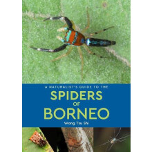 A Naturalists Guide to the Spiders of Borneo by Wong Tsu Shi Paperback