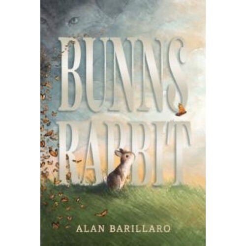 Bunns Rabbit by Alan Barillaro Hardcover Book