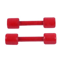 Colorful Wooden Dumbbell Fitness Toy Quadrate Red