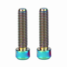 RISK 2Pcs M6 X 25mm Bolts for MTB Disc Brake Caliper (Multicolor)