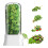 Fresh Herb Keeper For Refrigerator,Space Saving Cilantro Container For Fridge - Herb Saver For Cilantro, Mint Asparagus 2