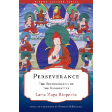 Perseverance by Gordon McDougall Paperback Book