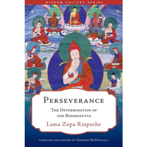 Perseverance by Gordon McDougall Paperback Book