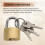 12 Pack  Padlock Small Padlock Solid Brass Locks with 3 Key for Luggage Lock,Backpack,Gym Locker Lock,Suitcase Lock 6