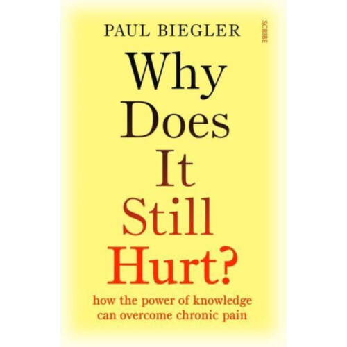 Why Does It Still Hurt by Paul Biegler Paperback Book
