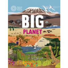 Big Planet by Jon Richards Paperback Book