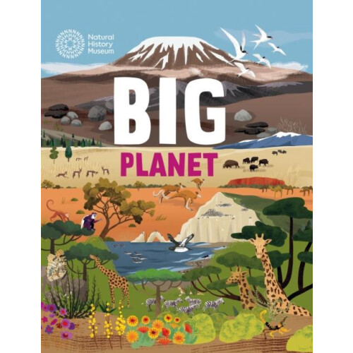 Big Planet by Jon Richards Paperback Book