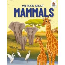 Young Adventurers My Book About Mammals by Eliza Jeffery Paperback Boo