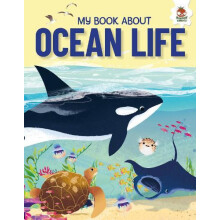 Young Adventurers My Book About Ocean Life by Eliza Jeffery Paperback