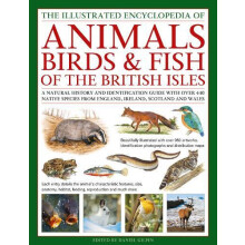 The Animals Birds amp Fish of the British Isles Illustrated Guide to b
