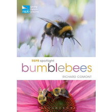 RSPB Spotlight Bumblebees by Richard Comont Paperback Book