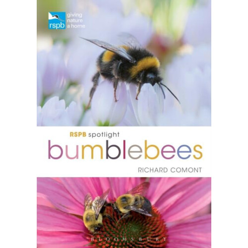 RSPB Spotlight Bumblebees by Richard Comont Paperback Book