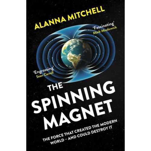 The Spinning Magnet by Alanna Mitchell Paperback Book