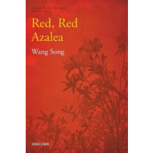 The Poverty Alleviation Series Volume Three by Song Wang Hardcover Boo