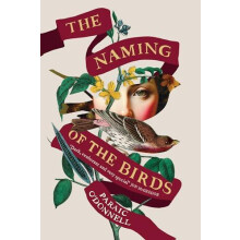 The Naming of the Birds by Paraic ODonnell Hardcover Book