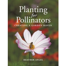 Planting for Pollinators by Heather Angel Paperback Book