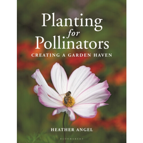 Planting for Pollinators by Heather Angel Paperback Book