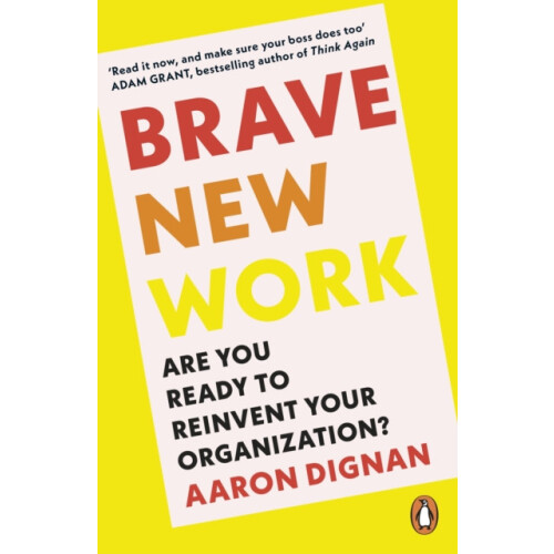 Brave New Work by Aaron Dignan Paperback Book