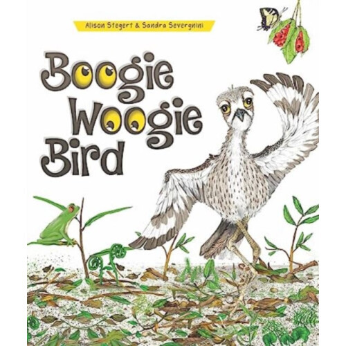 Boogie Woogie Bird by Alison Stegert Hardcover Book
