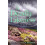 A Deadly Likeness by Lesley McEvoy Paperback Book 1